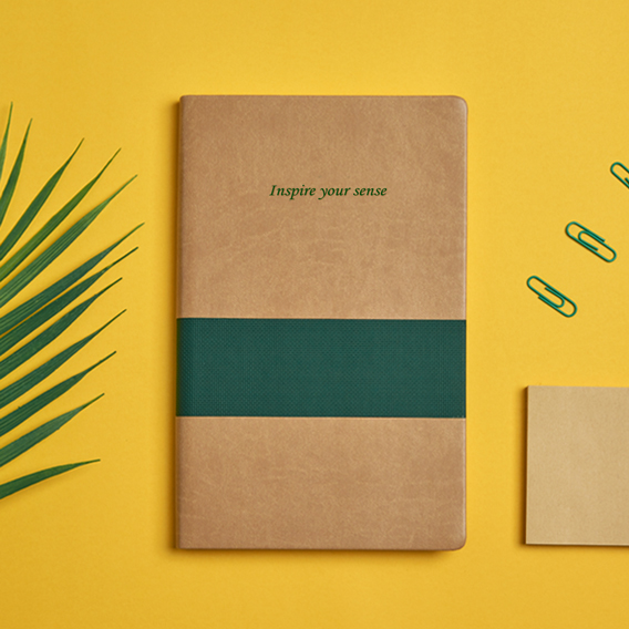 [삽입]소피스 인스파이어25